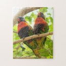 Recherche de oiseaux colorés puzzles Nature