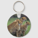 Search for cheetah rounded keychains Fashion