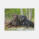 Search for lab blankets Puppy