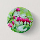 Search for bleeding buttons Nature