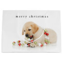 Recherche de labrador sacs cadeaux Vert