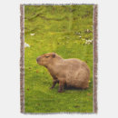 Search for capybara blankets Wildlife