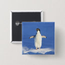 Search for water animals buttons Funny
