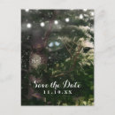 Search for tree top bird save invitations Nature