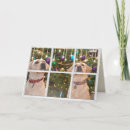 Search for yellow labrador christmas cards Retriever