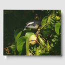 Recherche de courbe photographie Nature