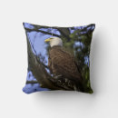 Recherche de aigle chauve coussins Nature