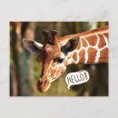 Search for heading postcards Nature