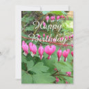 Search for bleeding heart cards Floral