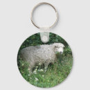 Search for cute sheep keychains Woolly