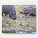 Search for hippo electronics Wild animals