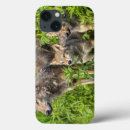 Search for schwarz ipad cases Minnesota wildlife connection