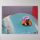 Recherche de felines posters Photographie
