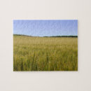 Search for corn puzzles Nature