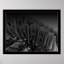 Recherche de étrange posters Noir