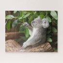 Recherche de koala puzzles Australien