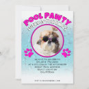Recherche de canine invitations Chien