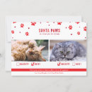 Search for naughty cats cards Red