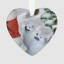 Search for eskimo ornaments Pets