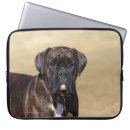 Search for shoulder cases Canine photographer