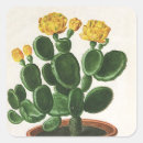 Search for vintage cactus stickers Americana