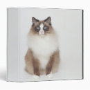 Search for furry binders Cats