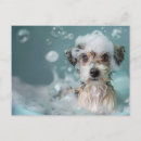 Recherche de sur le chemin cartes postales Animal