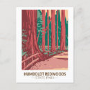 Recherche de humboldt cartes postales Humboldt redwoods state park