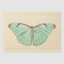 Search for decoupage butterfly tissue paper Blue