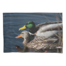 Search for ducks pillowcases Swimming