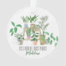 Search for plants ornaments Crazy plant lady