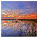 Search for everglades Tropical