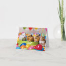 Search for of the hamster and cards Cute