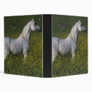 Search for arab binders Equestrian