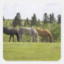 Recherche de alberta canada autocollants Extérieur