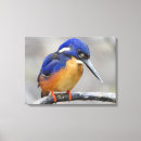 Search for colourful bird canvas prints Cute