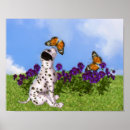 Recherche de dalmatien art Chiot