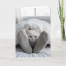 Recherche de blanche de chat vœux cartes Mignon