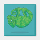 Search for chameleons magnets Green