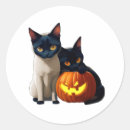 Search for kawaii pumpkin stickers Black