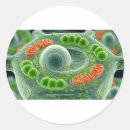 Search for microorganism stickers Biology