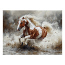 Search for white horse running posters Pinto