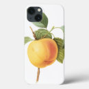 Recherche de illustration de pomme iphone coques Nature