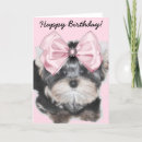 Recherche de yorkie birthday cards Yorkshire