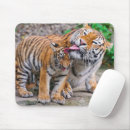 Search for siberian cats mousepads Big cat