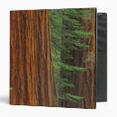 Search for trunks binders Tree trunk