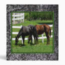 Search for equestrian standard avery binders Ranch
