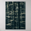 Recherche de hêtre posters Forêt