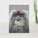 Recherche de ape vœux cartes Funny
