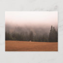 Recherche de le cheval blanc cartes postales Paysage